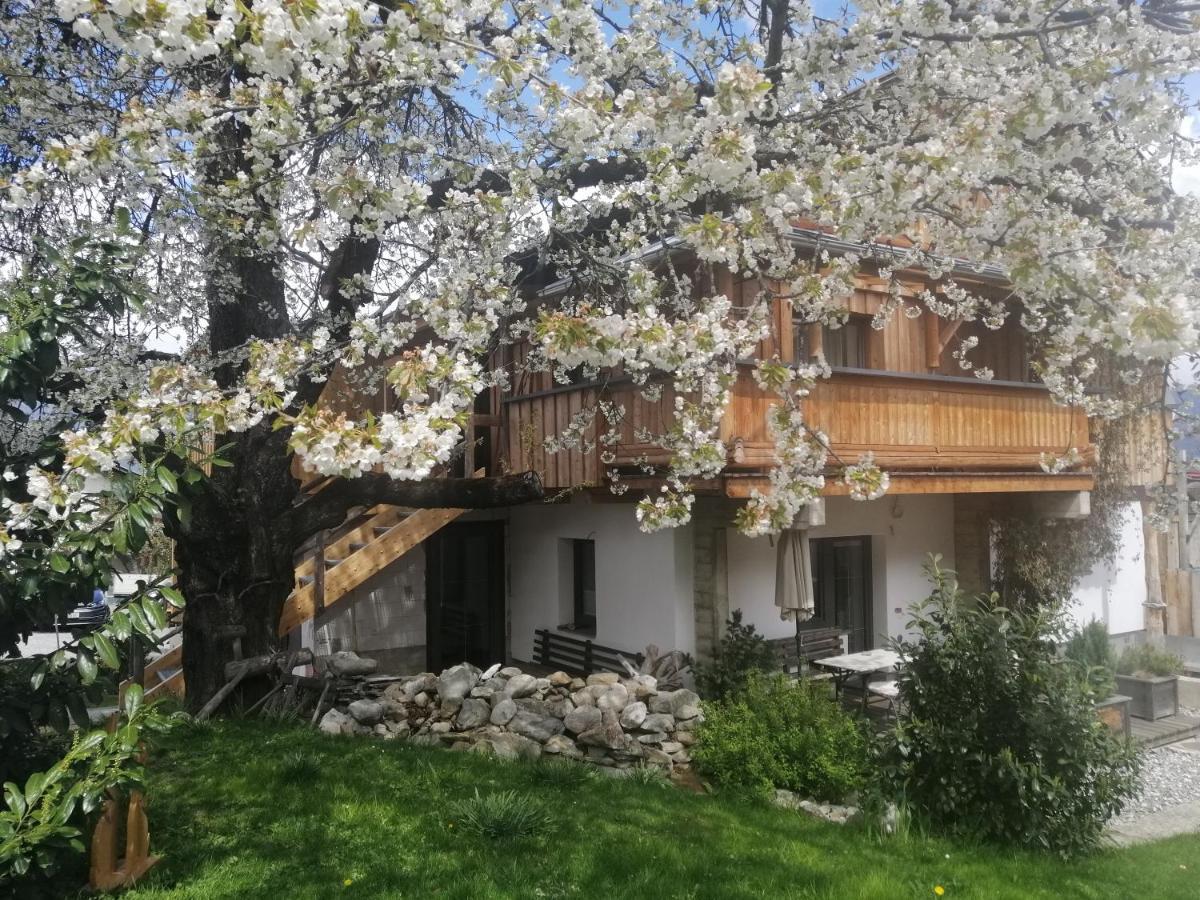 Appartement Seppi Innsbruck Bagian luar foto