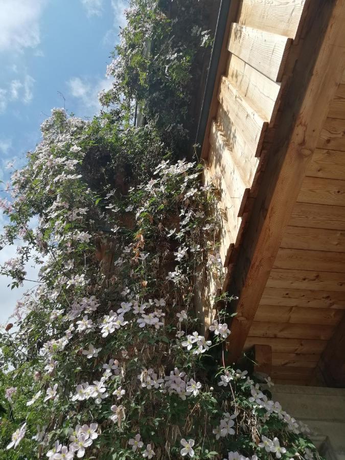 Appartement Seppi Innsbruck Bagian luar foto