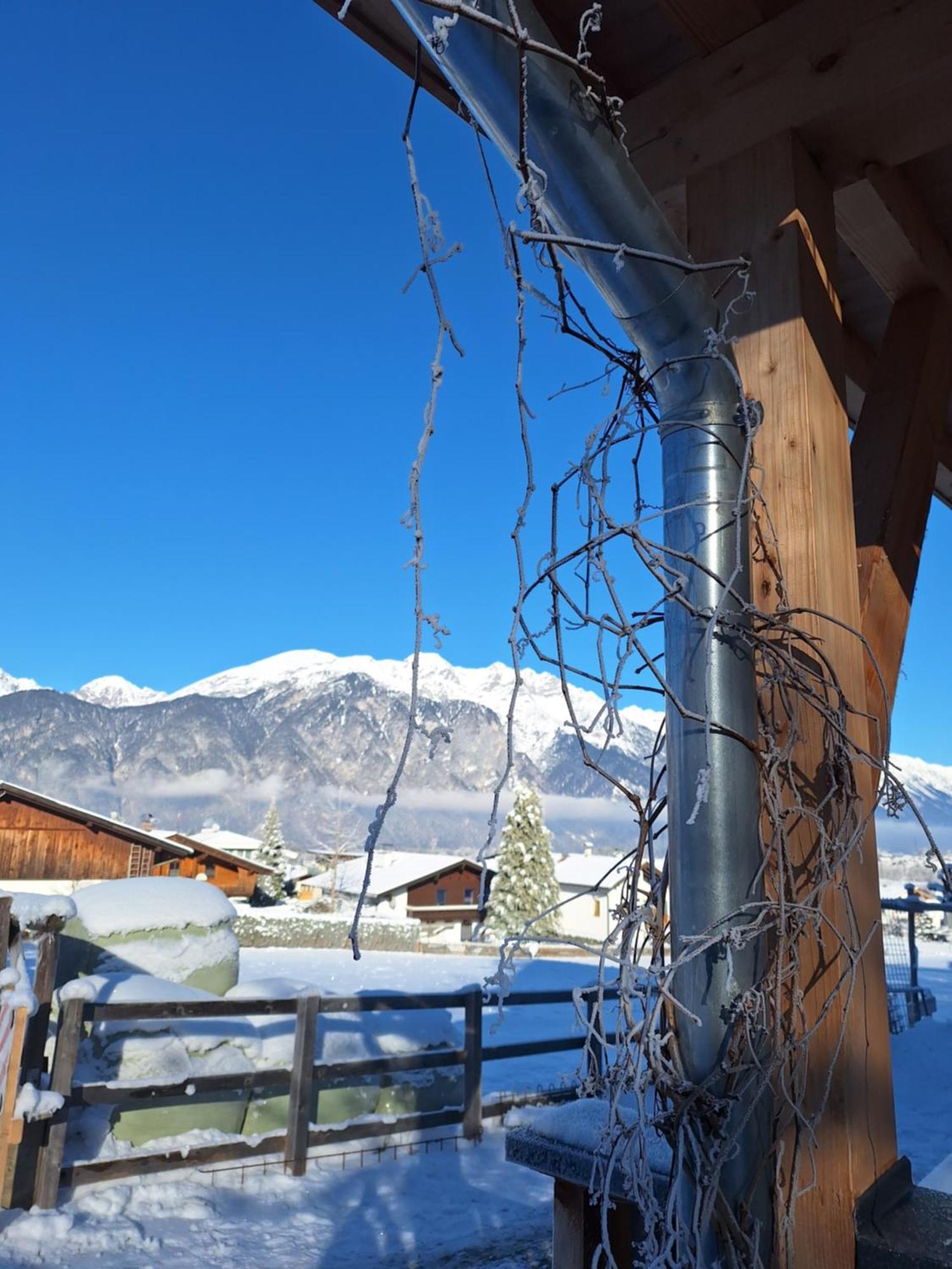 Appartement Seppi Innsbruck Bagian luar foto